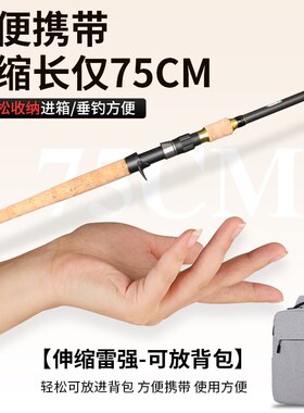 伸缩路亚雷强XiH硬调锚竿2.1-3米碳素短节便携枪直柄船钓超硬海竿