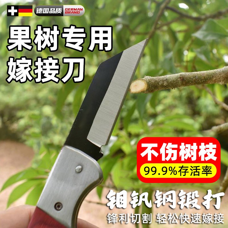果树嫁接专用刀嫁接器苗木高级嫁接刀高硬度锻打钨钢平Z口的工具