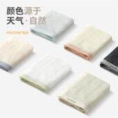 档2024新款 夏季 薄款 有内女士内裤 凉R感透气女生三角裤