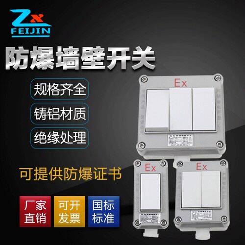 防爆照明开关220V 1q0A明装暗装墙壁86型单开双开关三开四开单控