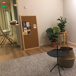 墙照片留言软木板板背景记事挂展B示公告家用栏ins毛毡装饰风墙贴