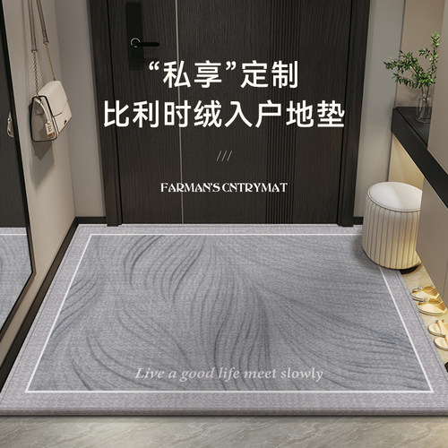 入户地毯进门地垫2024新款x家用高级感耐脏玄关门垫室内门口脚踏