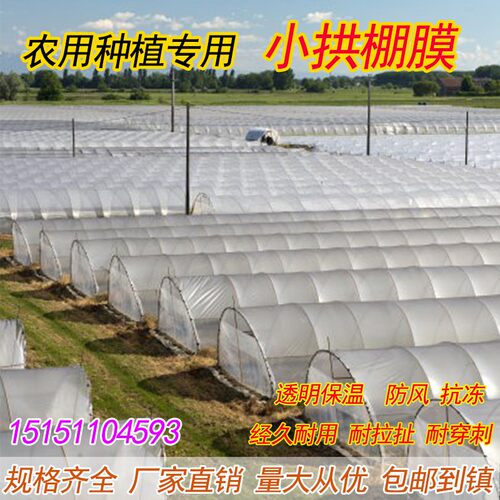 可零裁白色塑料薄膜小拱棚膜保温蔬菜大L棚膜防冻防寒公路防护膜