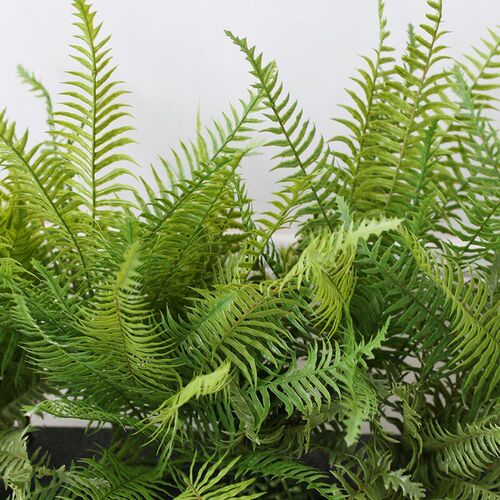 新品蕨类花槽植物装饰仿真绿植垂吊插花成品餐厅S窗台Y隔断布置摆
