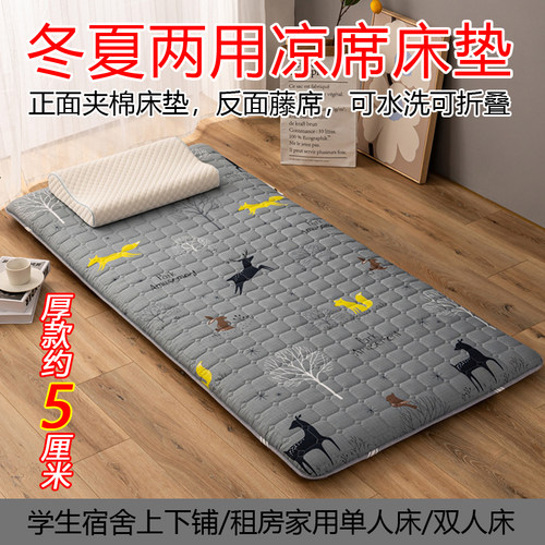 凉席藤席夏季学生宿舍单人家用可折叠双面冬夏两用草席U子0.9米1.