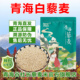 青海三色藜麦白藜麦米红藜麦黑藜麦五谷杂粮粗粮藜麦米官方旗舰店