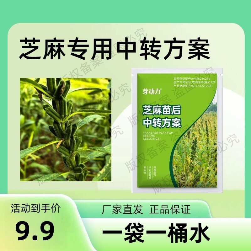 芽动力芝麻地专用升级版中转方案不伤芝麻苗家用户外环境用药