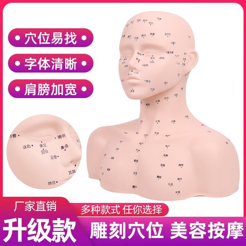 带肩膀皮肤管f理头模美容院练习脸部穴位按摩手法字体穴位模型