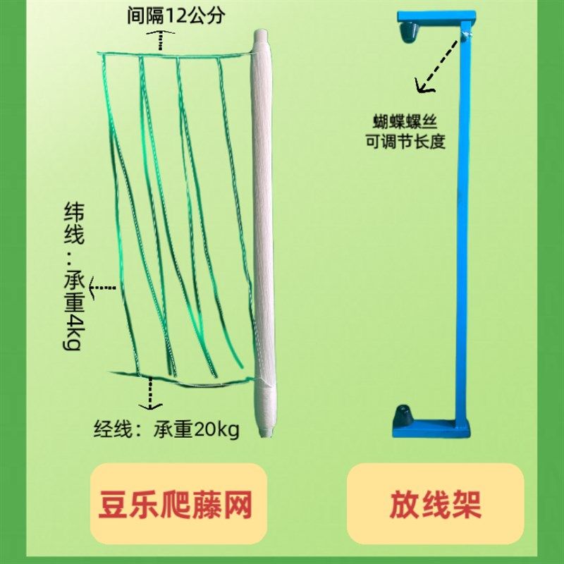 豆乐爬藤c网四季豆网豌豆网豇豆豆角网豆种植免挂线厂家豆角爬藤