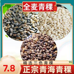 2024纯青海蓝青稞米西藏青稞麦仁青稞米五谷杂粮真空粗粮500g包邮