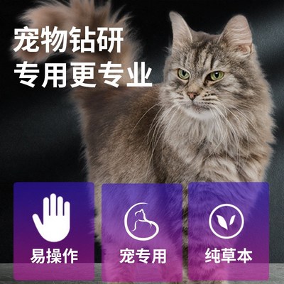 照猫藓灯猫咪紫光灯伍德氏猫藓灯医院同款宠物玩具红外线激光