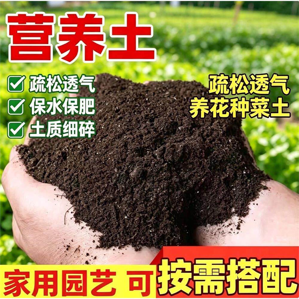 营养土改良板结旧土家庭