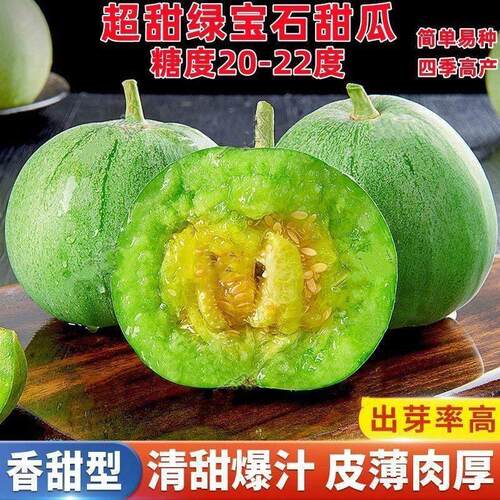 绿宝甜瓜种子绿宝石甜瓜种籽绿皮绿肉薄皮香瓜四季水果高产好种
