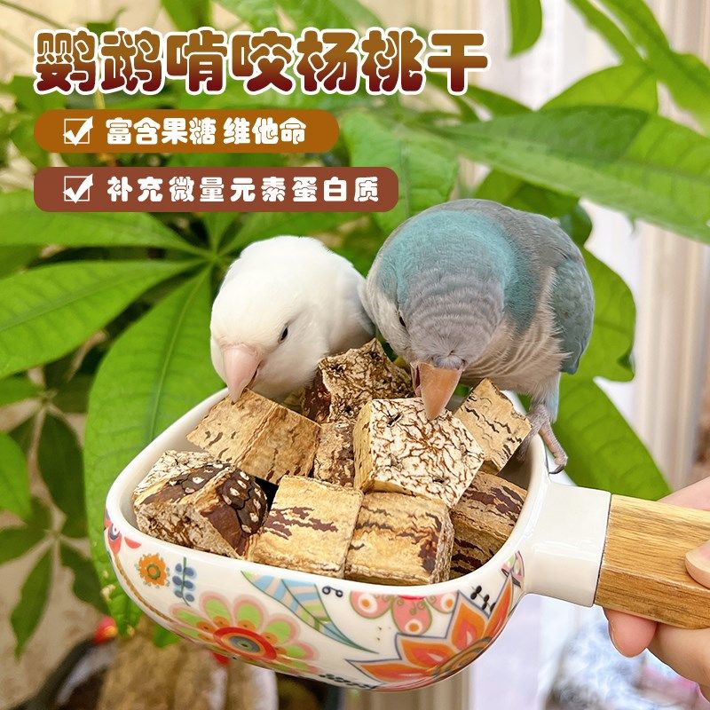 鹦鹉天然啃咬杨桃果干补充维生素磨牙牡丹玄凤虎皮坚果干鸟零食,宠物/宠物食品及用品,鸟禽其他,淘宝优惠券,粉丝福利购,淘宝优惠卷