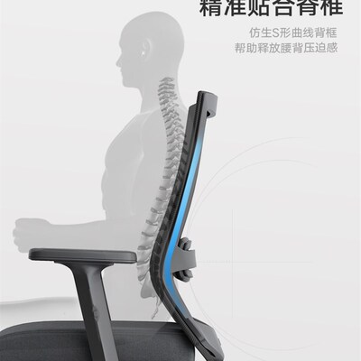 圣奥艾伦办公室椅靠背人体工学电脑椅家用舒适护腰久坐座椅转椅子