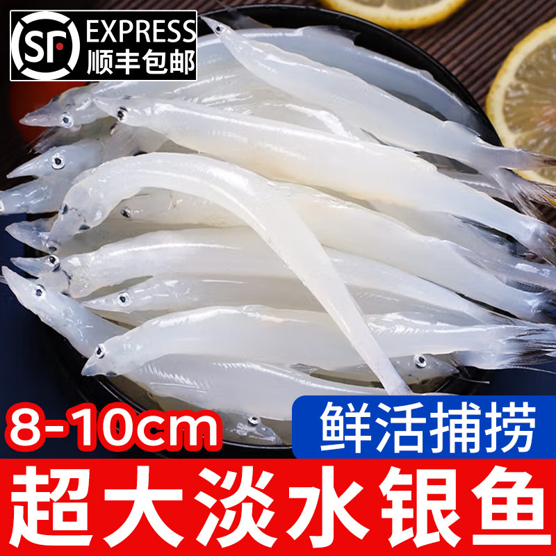 特大号新鲜银鱼淡水冷冻宝宝辅食