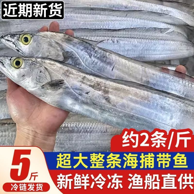 【礼盒】带鱼礼盒新鲜整条带鱼野带鱼