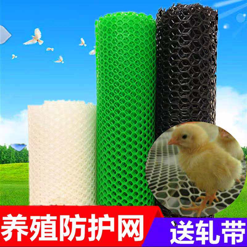 塑料养殖a网养鸡育雏脚垫漏粪平网片小孔养蜂网阳台围栏整卷防护