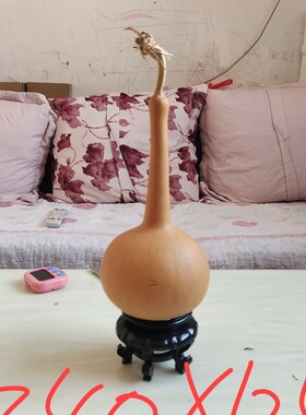 天然手把文玩单肚蒜头独把油锤瓢形葫芦工艺品一物一Z图老成响籽