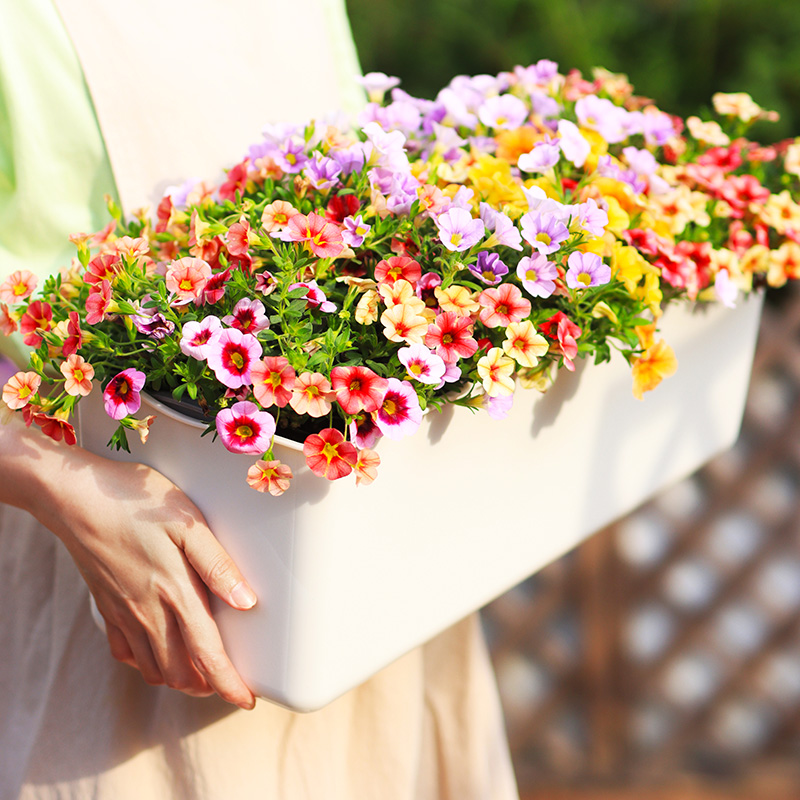 长条大花槽懒人花盆种菜种花花盆高档外贸阳台庭院双层套盆自吸水