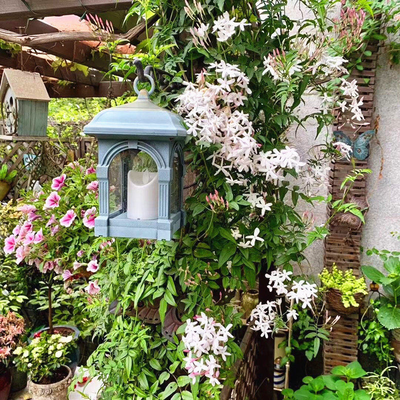 粉苞香水茉莉盆栽带花苞清香型阳台庭院楼顶耐寒耐热四季花卉绿植,鲜花速递/花卉仿真/绿植园艺,时令草本花卉,淘宝优惠券,粉丝福利购,淘宝优惠卷