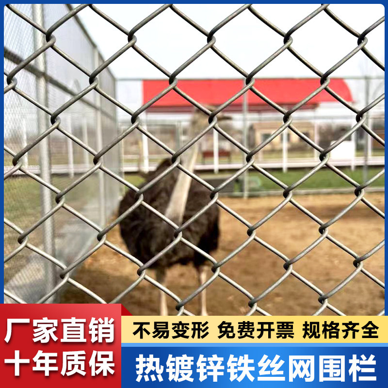 热镀锌勾花网铁丝护栏网围栏防护网钢丝养殖牛羊S猪栅栏果园圈地