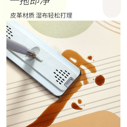 地垫入户门垫2023新款高级感进门门E口脚垫耐脏免洗pvc可裁剪地毯