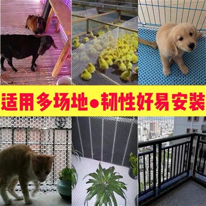 塑料平网养殖网育雏漏q粪网垫养鸡鸭鹅床阳台防护网胶网围栏网格