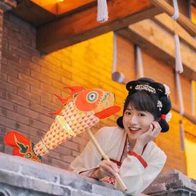 中国科举博物馆文创秦淮花灯非遗鱼灯新年春节灯笼古风汉服