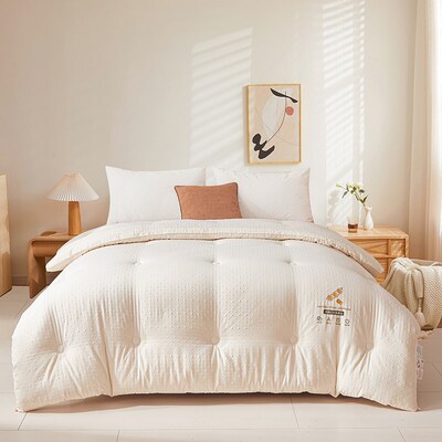 A类大豆被加厚保暖冬被春秋被空调被被子学生宿舍单人被褥夏凉被