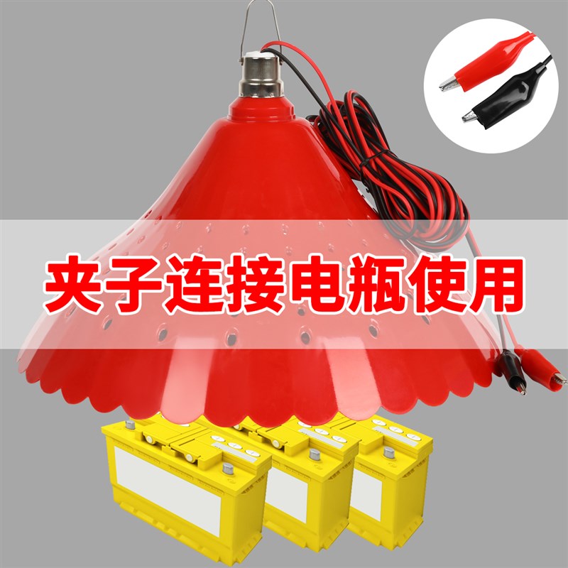 12VLED可调色水果灯夜市灯电动三轮车48V72v生鲜灯红色灯地摊灯