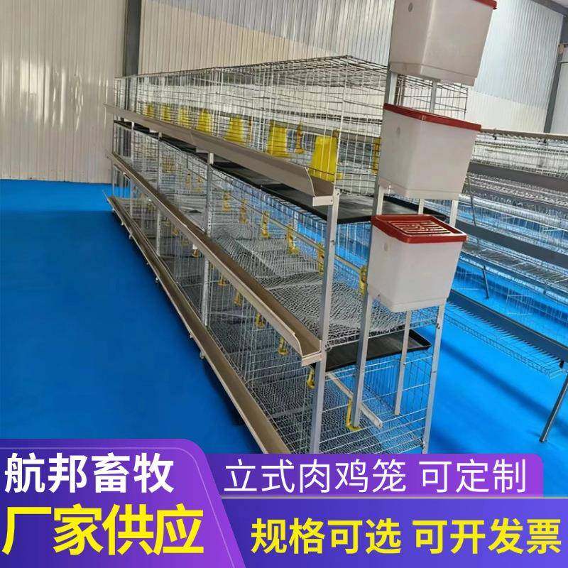供应框架式肉鸡笼设备厂家镀锌材质养殖场三层立式肉鸡笼,畜牧/养殖物资,特种养殖设备,淘宝优惠券,粉丝福利购,淘宝优惠卷