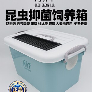 活爬虫养殖盒杜比亚樱桃蟑螂面包虫黄粉虫大麦虫蟋蟀蛐蛐饲养箱盒