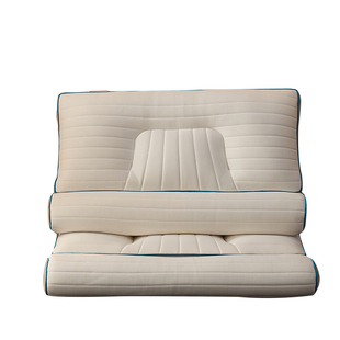 枕头枕芯一对装 家用酒店床上单人助睡眠乳胶枕护颈椎病荞麦壳低枕