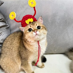 2024恭喜发财新年猫咪财神帽子英短狗狗头套头饰过年宠物变装帽子