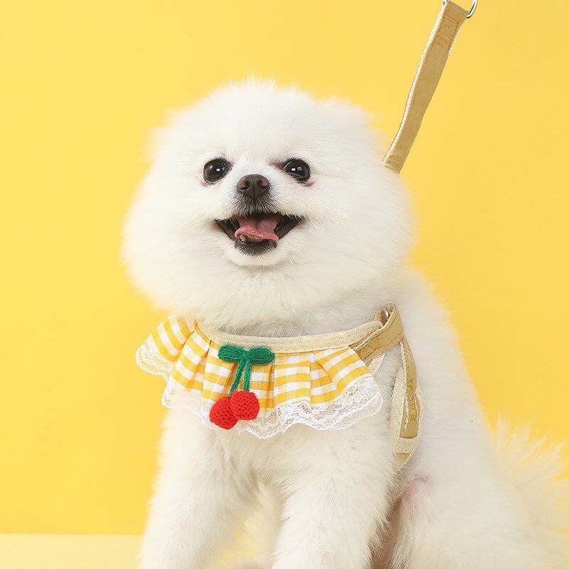 博美狗狗牵引绳蕾丝围脖遛狗绳小型犬胸背带泰迪比熊贵宾小狗链子