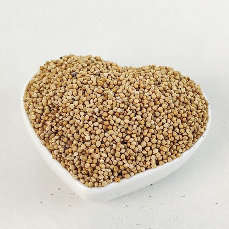 带壳黄谷子鸟食饲料提性壮膘增肥料专用鸟食营养鸟食饲料500g,宠物/宠物食品及用品,鸟玩具,淘宝优惠券,粉丝福利购,淘宝优惠卷