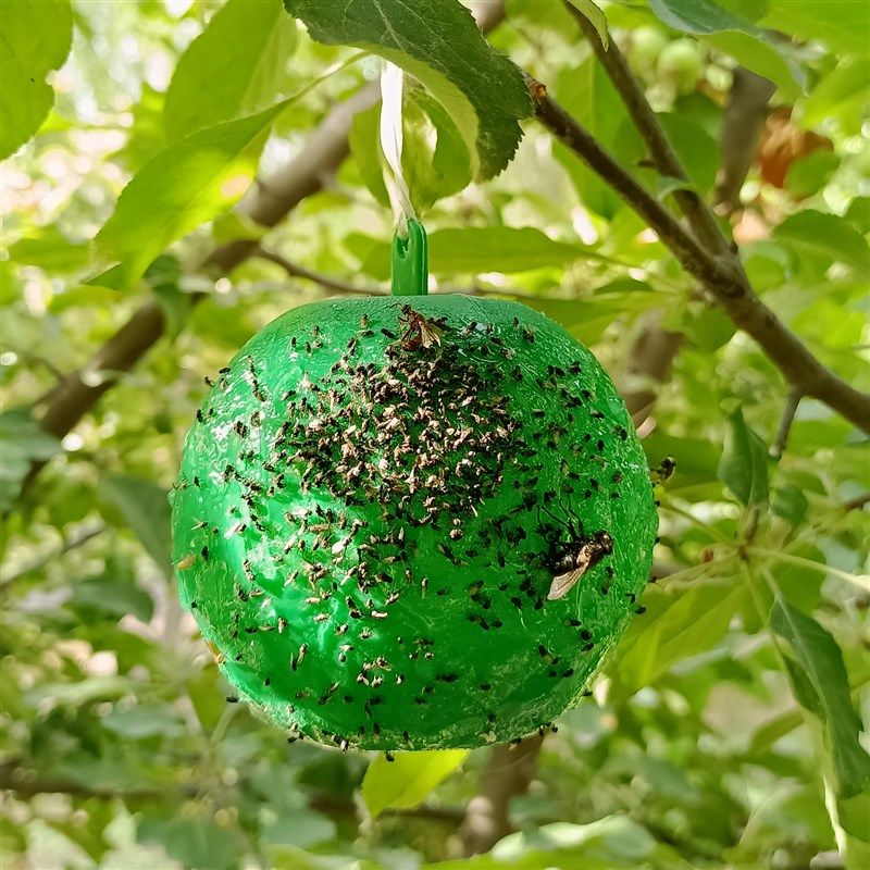 果园粘虫球诱虫球防真水果捕蝇粘蝇农用瓜实蝇球粘虫板灭虫球包邮