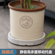 可移动花盆架水滴隐藏式 移动托盘大型加厚带滚轮圆形底盘储水接水