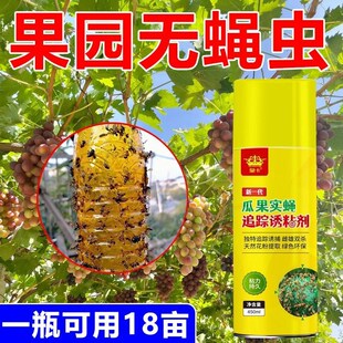 果蝇诱捕剂诱蝇球粘虫板神器瓜果实蝇诱粘剂菜果园果树针蜂引诱剂