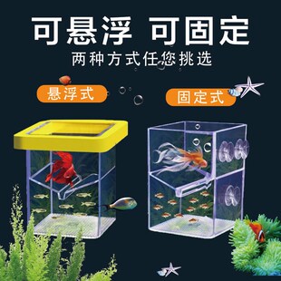 鱼缸繁殖孵化盒隔离盒可悬浮可固定小型鱼母鱼产房安全隔离