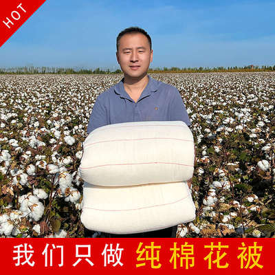 新疆长绒棉花被纯棉被子全棉被芯棉絮床垫被褥子加厚保暖春秋冬被