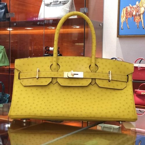 推鸵鸟皮铂金包 鸵鸟皮女包  手提包时尚休闲宴会包可定制30/35