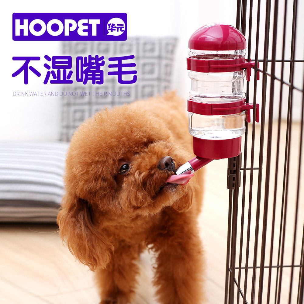狗狗饮水器挂式宠物水壶自动喂水泰迪喝水神器猫咪水瓶悬挂不湿嘴