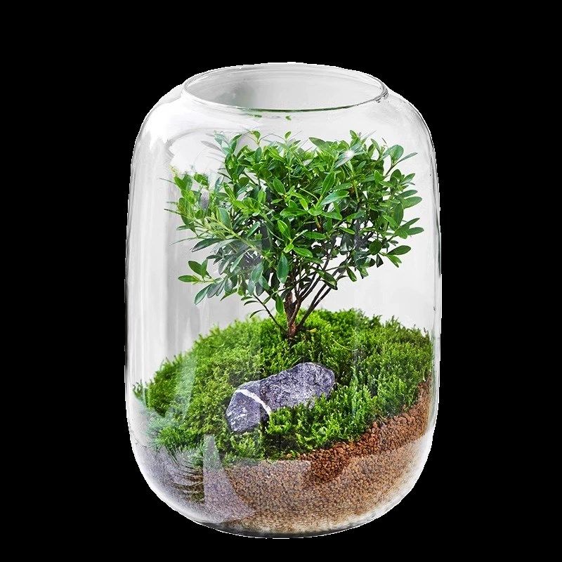 绿植装饰摆件桌面桌搭轻奢高档客厅室内小众高级感男生电竞房电脑