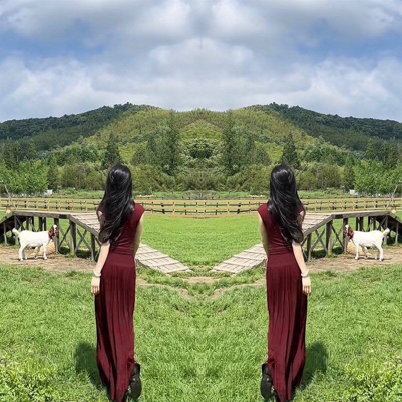 高级感轻熟风2024年夏季新款女神范套装裙纯色坎袖上衣长款半身裙