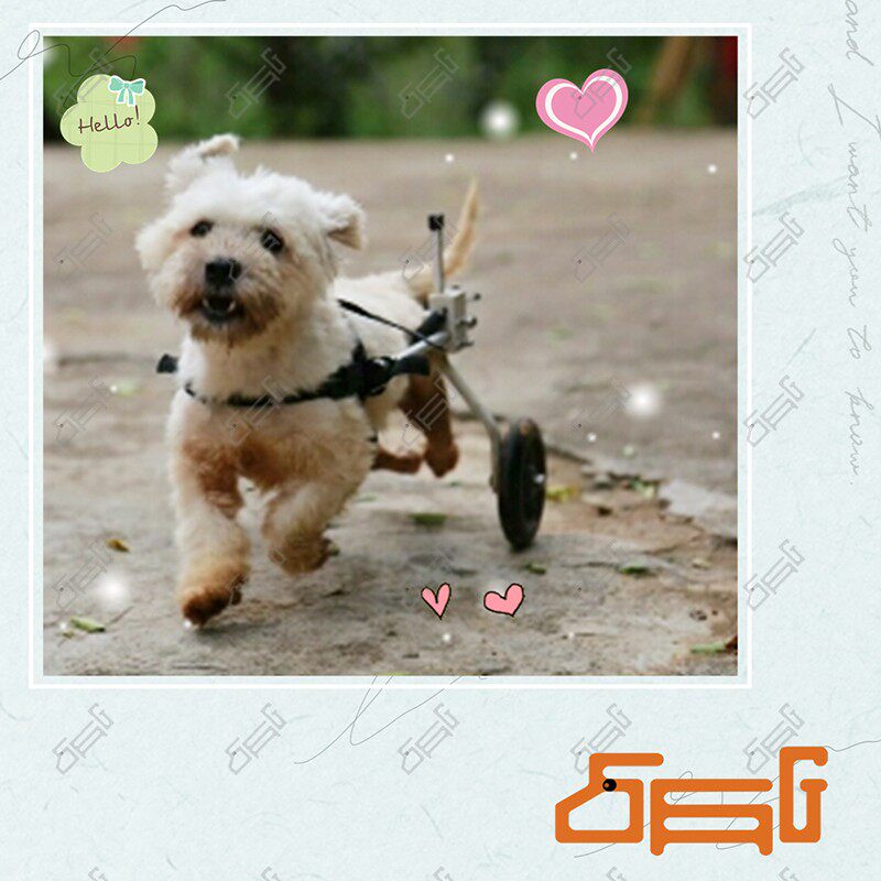 狗轮椅/瘫痪残疾犬代步车牲猫狗后肢助行车小型伤疾狗滑轮车支架