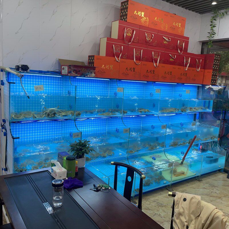 海鲜鱼缸大闸蟹缸制冷一体机饭店海鲜池商用水产贝类缸螃蟹爬行缸