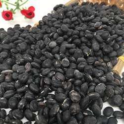 广东台山冲蒌黑豆黄芯带灰牛脚迹十月乌豆500g新收成自晒农家干货