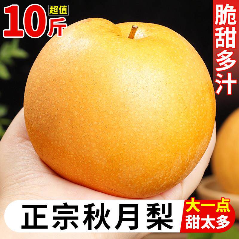 正宗山东秋月梨新鲜梨子10斤当季现摘莱阳冰糖梨雪梨蜜梨整箱包邮